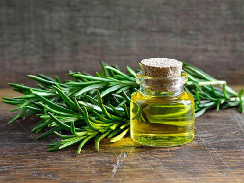 دمنوش رزماری و روغن رز ماری برای رشد مو 2 طرز تهیه دمنوش رزماری